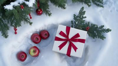 The primary subject of the image is a red bow on a white box, which is placed on a snowy surface. The setting is a winter scene with snow-covered ground and trees in the background. The visual style is a photo, capturing the details of the snowy environment and the red bow on the box. The colors and mood of the image are predominantly cold and wintry, with the red bow adding a touch of warmth and festivity to the scene.